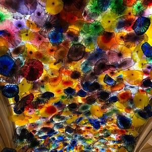 Meet your Posher, Mellisa